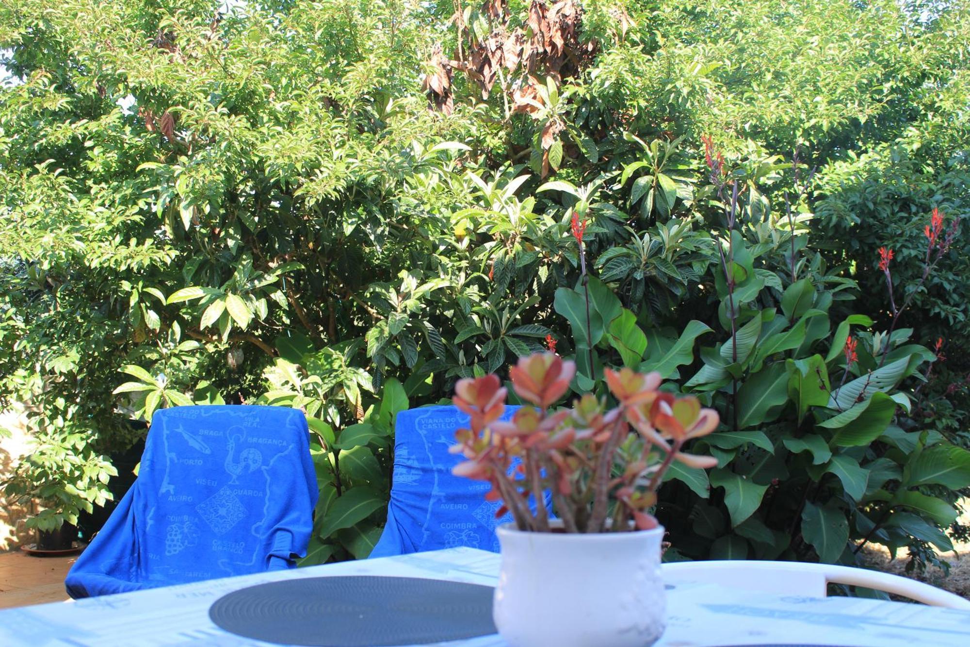 Blue Room Pedralva المظهر الخارجي الصورة